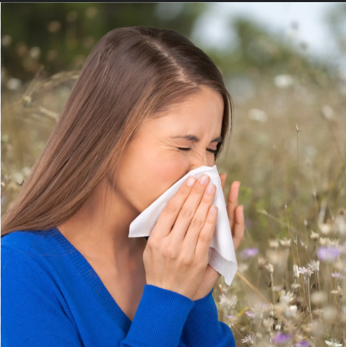 Holistic Allergy Management